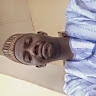 maina mustapha