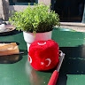 Sevcan Kence
