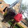 Gideon Musyoka