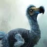 Varga Dodo