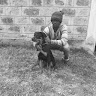 Daniel Reward