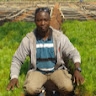 donald sikazwe