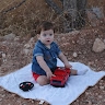 אריאל שלומוביץ