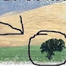 Il Tiglio Onlus