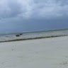 Lokho Adan