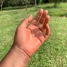 Rahima Gambo