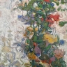Carroll Macdonald
