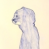 Simone Fois
