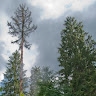 Erkki Aasa