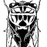 mathieu w.