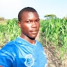 Bush Steward