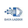 Data Ladder Africa