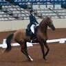Holli Hammarquist