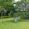 Saudin Mwakaje