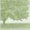 GreenPasturesFinancl  