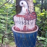 Miciah Hussey