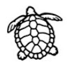 Turtle Patrol