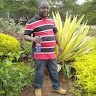 Hare Chogo