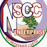Nelson Silas Chinedu