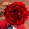 Wesley Mwangi
