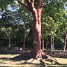 La'Keshia  