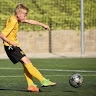 Peeter Alev