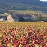 Accueil Abbaye de Morgeot