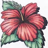 Fi  