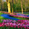 sathya p
