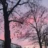 Олександра Пройчева