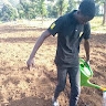 Pius Wasonga