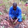 Joseph Kalasa