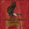 Bullet In Flight Productions