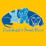 Cheryl Stone Dachshunds and Friends Rescue