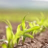 Agro HUB