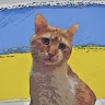 Anton  