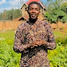 emmanuel mudumbi