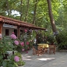 Parselia Rooms