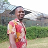Fanele Errol