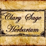 Clary Sage Herbarium