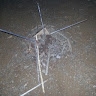 Selina Olwanda