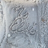 Brianna Ellis