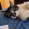 LuLu Magoo