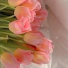Ελένη Ηλιοπούλου