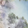 Kula Sa'anga