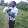 obadia rotich