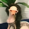 Fiorella Martelo