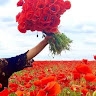 Оксана Пивовар