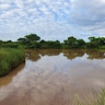 Madimetja Malebana