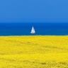 Александр Будко